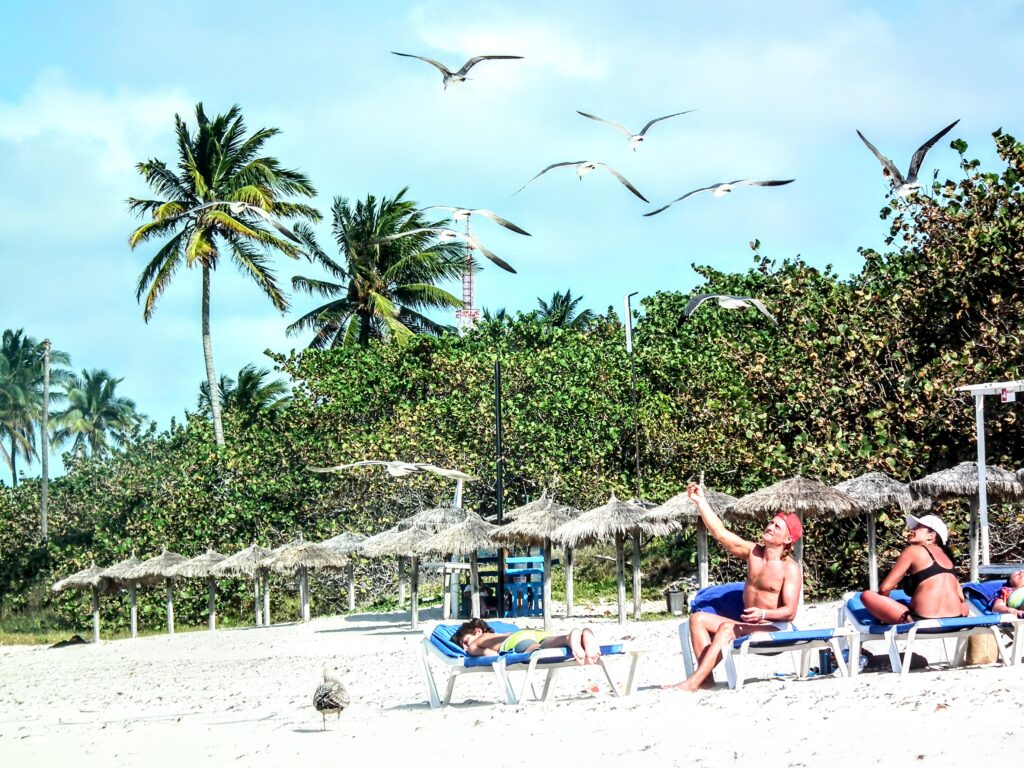 El reino de las gaviotas en Varadero