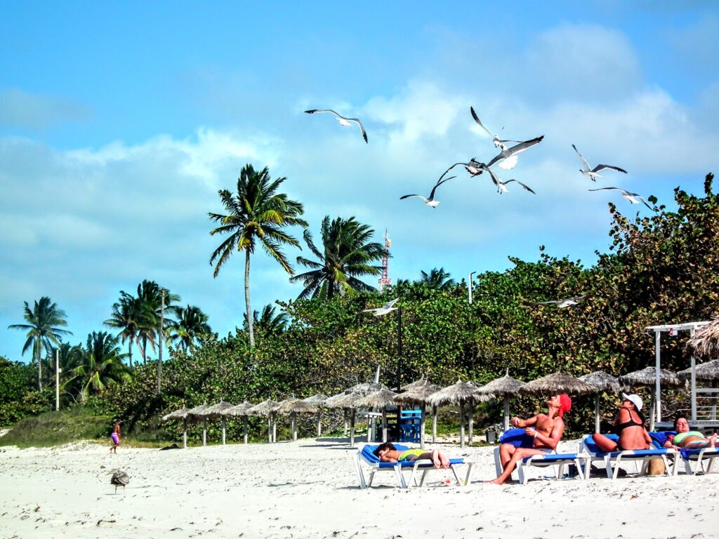 El reino de las gaviotas en Varadero