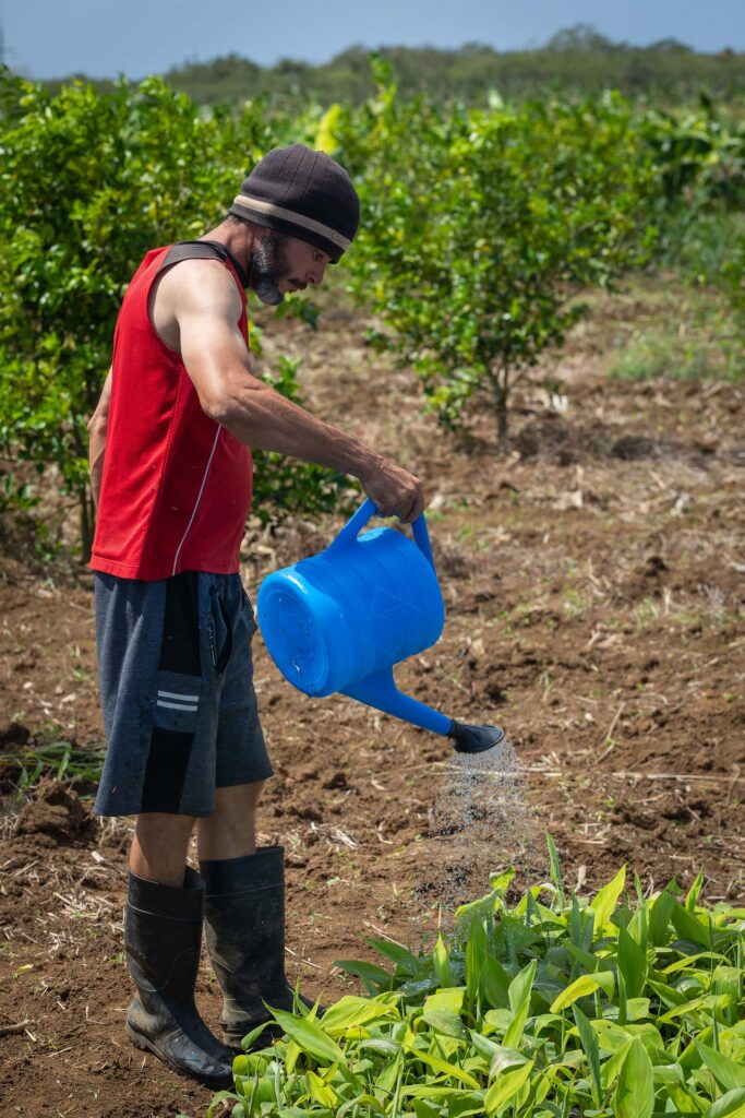 Los melones: agroecología como proyecto familiar. Foto: Raúl Navarro González