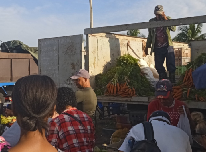Autoridades supervisan ferias agropecuarias en Matanzas