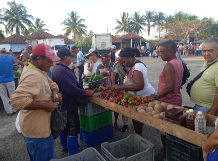 Autoridades supervisan ferias agropecuarias en Matanzas