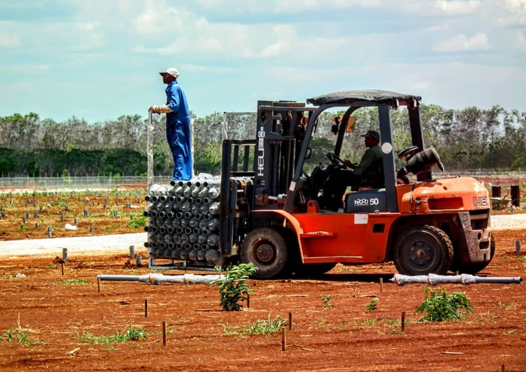 Constatan autoridades de la provincia proceso de construcción de parques fotovoltaicos