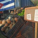 Autoridades supervisan ferias agropecuarias en Matanzas