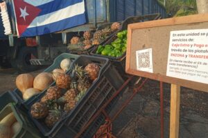 Autoridades supervisan ferias agropecuarias en Matanzas