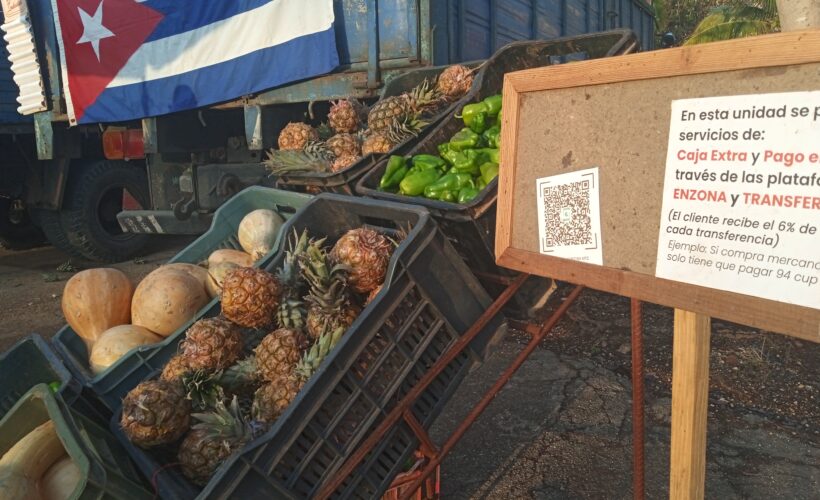 Autoridades supervisan ferias agropecuarias en Matanzas