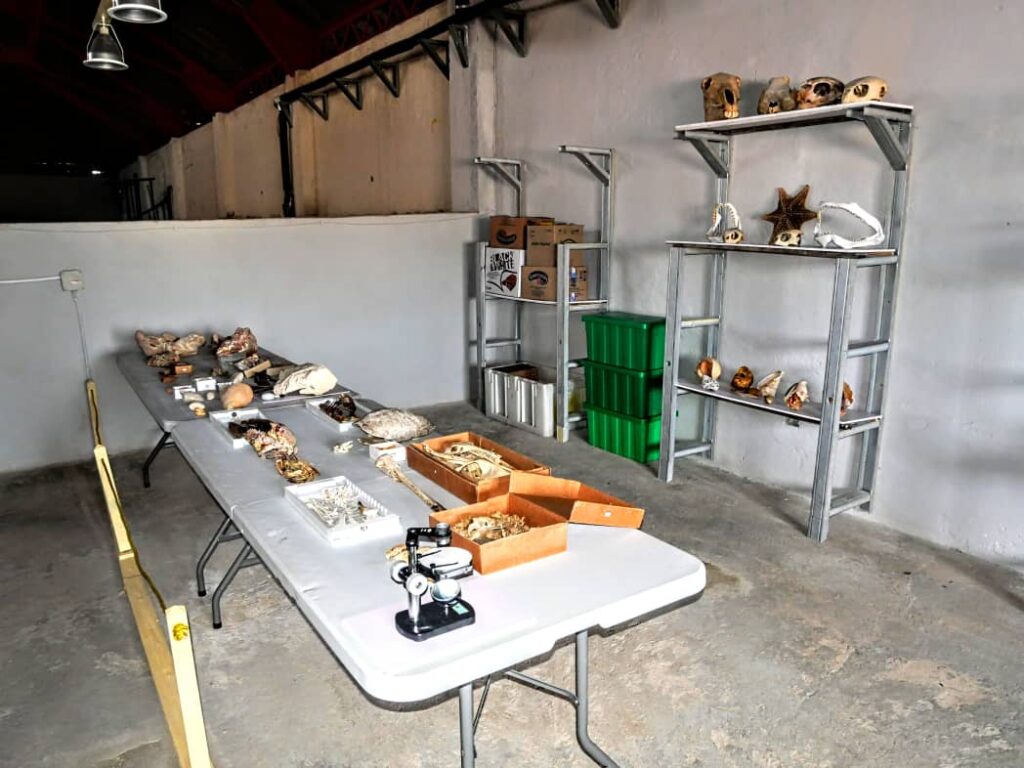 Laboratorio de Zooarqueología en Matanzas. Fotos: Arnaldo Mirabal
