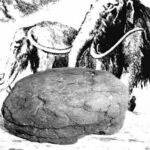 Postales matanceras: Residuo de mamut