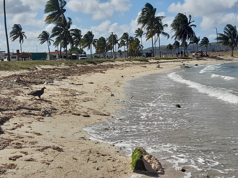 Las terribles huellas en la arena: contaminación y basura en las playas de Matanzas