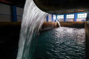 Cuando el agua no llega