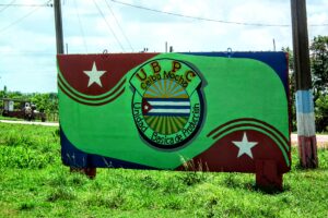 UBPC Ceiba Mocha: al rescate de un legado