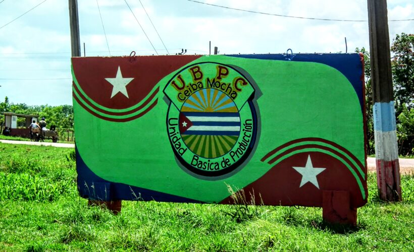 UBPC Ceiba Mocha: al rescate de un legado