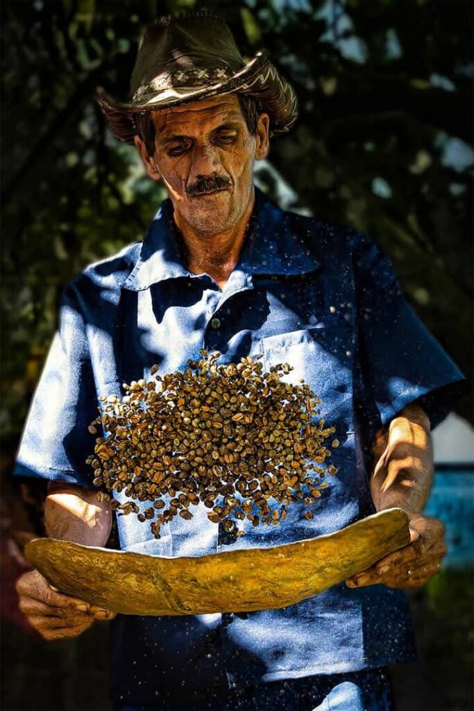 Diez años de Cuba al Natural