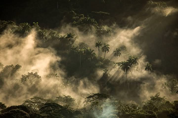Diez años de Cuba al Natural
