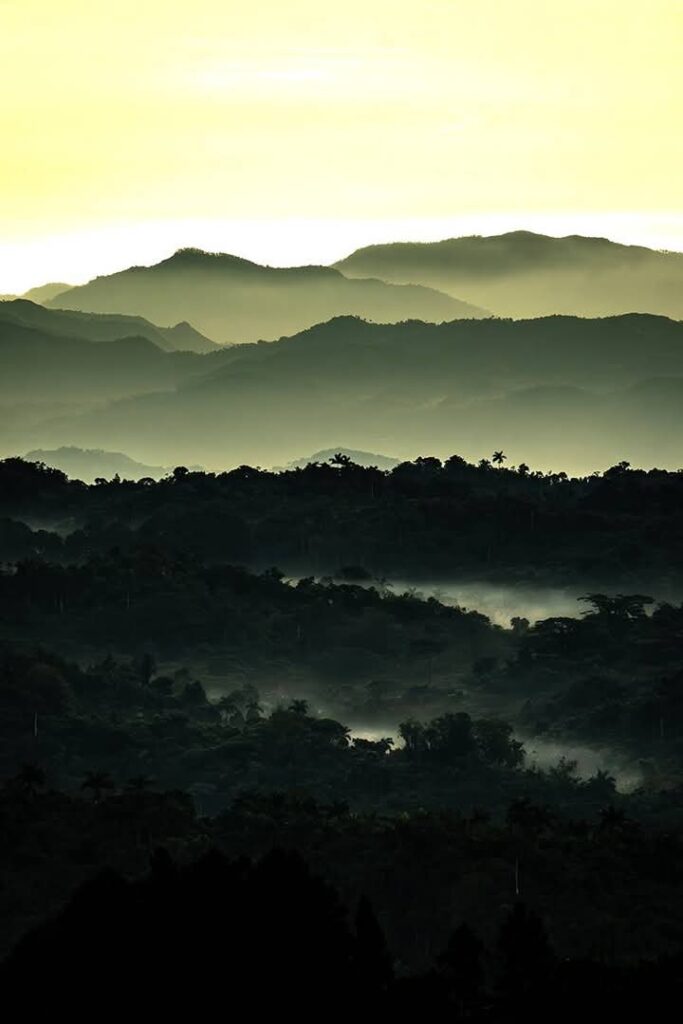 Diez años de Cuba al Natural