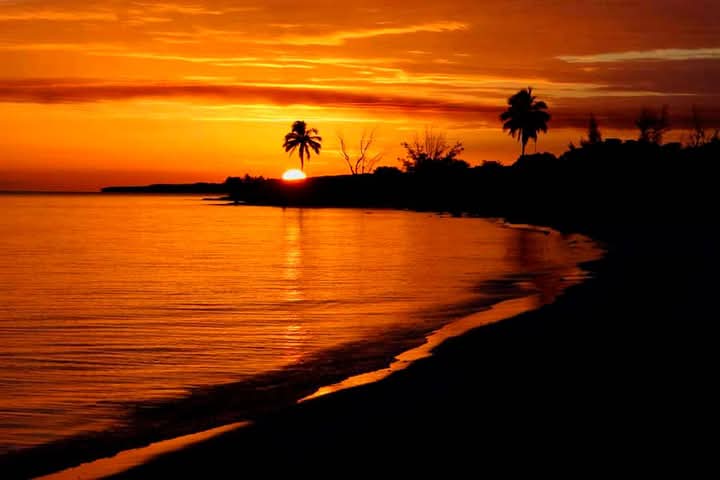 Diez años de Cuba al Natural