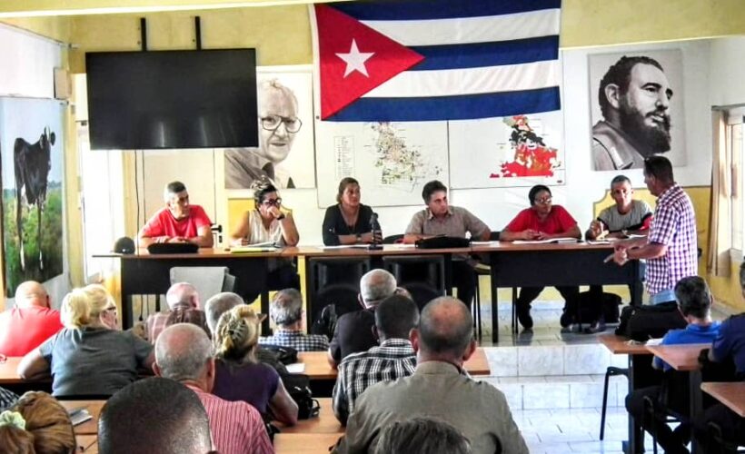 Llaman a revitalizar programa ganadero en Matanzas