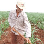 Es un privilegio trabajar en una UBPC de referencia como La Lucía, asegura Sergio. Foto: Noryis