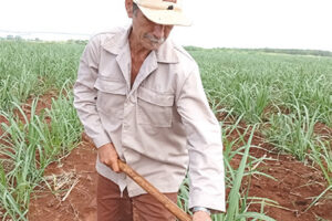 Es un privilegio trabajar en una UBPC de referencia como La Lucía, asegura Sergio. Foto: Noryis