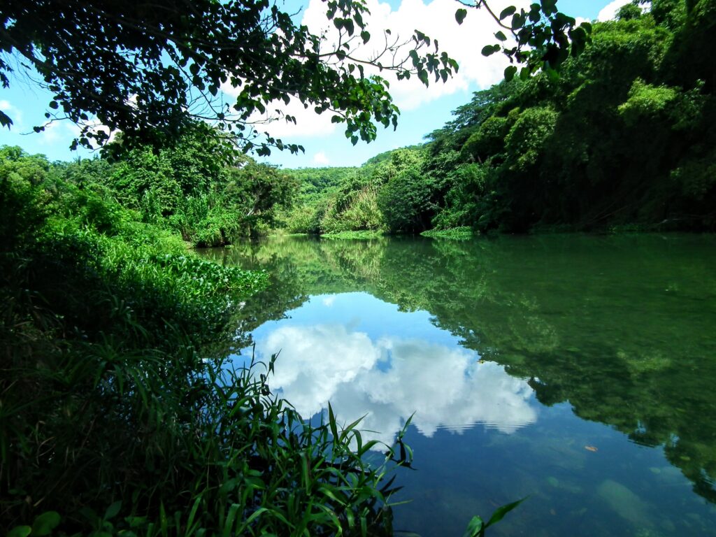 Matanzas Incógnita: Río Canímar