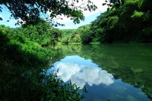 Matanzas Incógnita: Río Canímar