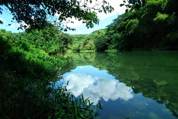 Matanzas Incógnita: Río Canímar