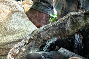 Carboneros en las Lomas de Cabeza