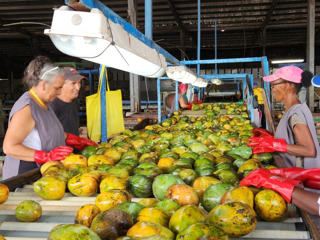 Empresa Agroindustrial Victoria de Girón