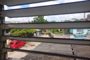 Fauna de barrio