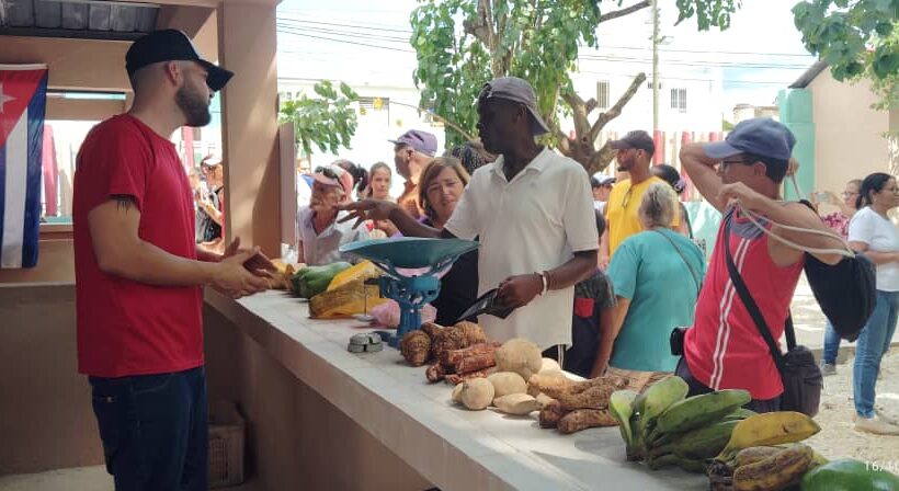 Matanzas: Nueva imagen para el mercado El Bosque