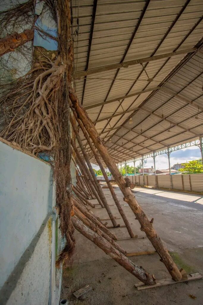 La terminal de ómnibus de Matanzas: devolverle el servicio a la ciudad