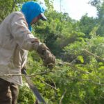 Incrementa proporción de mujeres propietarias de tierra en Matanzas