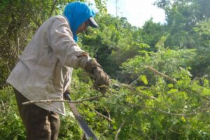 Incrementa proporción de mujeres propietarias de tierra en Matanzas