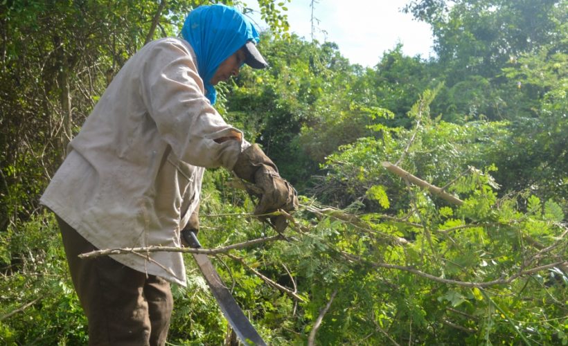 Incrementa proporción de mujeres propietarias de tierra en Matanzas