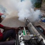 Crónica de una fiebre y un esfuerzo colectivo contra el vector. Foto: Raúl Navarro González