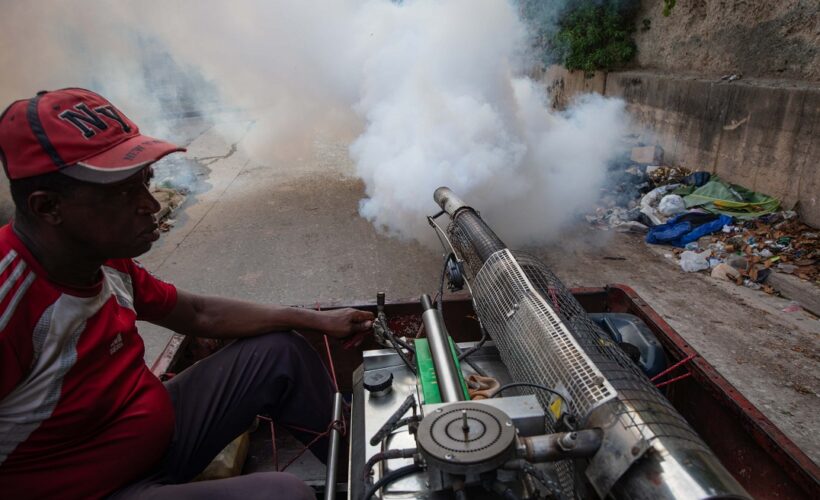 Crónica de una fiebre y un esfuerzo colectivo contra el vector. Foto: Raúl Navarro González