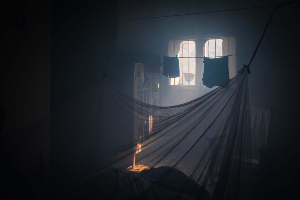 Crónica de una fiebre y un esfuerzo colectivo. Foto: Raúl Navarro González
