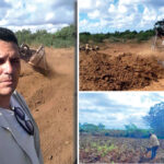 Yosniel Gil Montenegro, agricultor