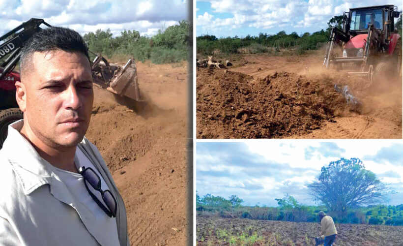 Yosniel Gil Montenegro, agricultor