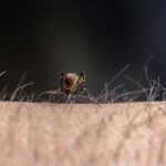 Cárdenas actualiza estrategia en ofensiva contra arbovirosis