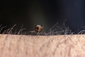 Cárdenas actualiza estrategia en ofensiva contra arbovirosis