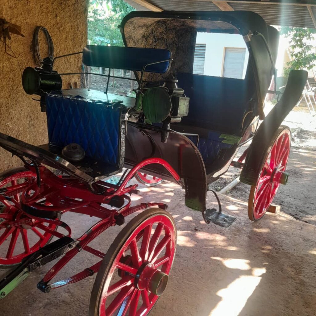 ¡A Cárdenas en coche!