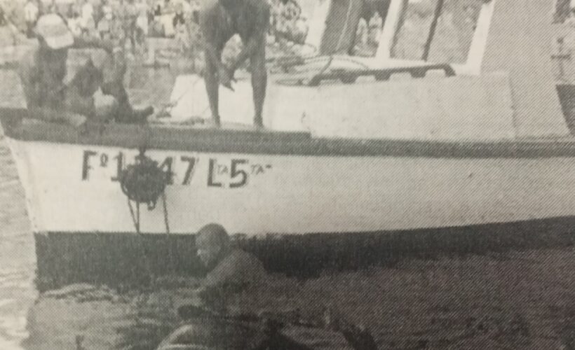 Postales Matanceras: “Tiburón gigante” en el río San Juan 