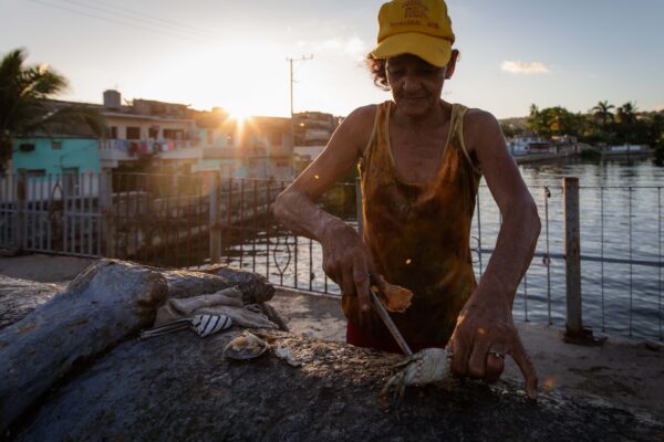 La señora de las jaibas