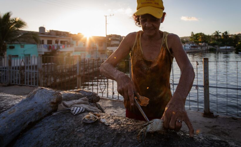 La señora de las jaibas