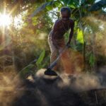 Carbón: El negocio del hoy