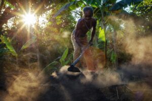 Carbón: El negocio del hoy