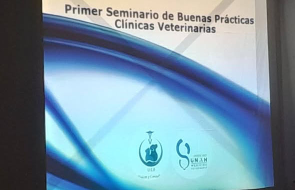En Varadero, novedoso Seminario de Buenas Prácticas Veterinarias