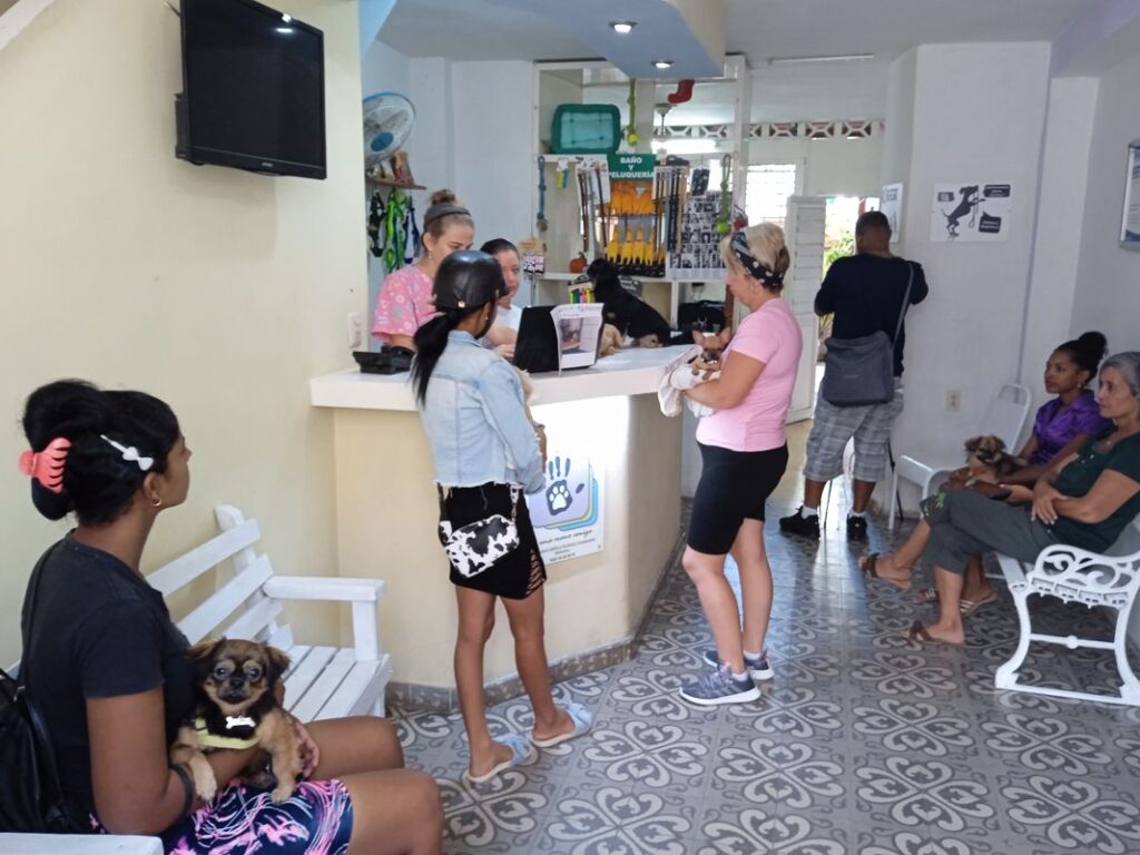 Seminario de buenas prácticas veterinarias 