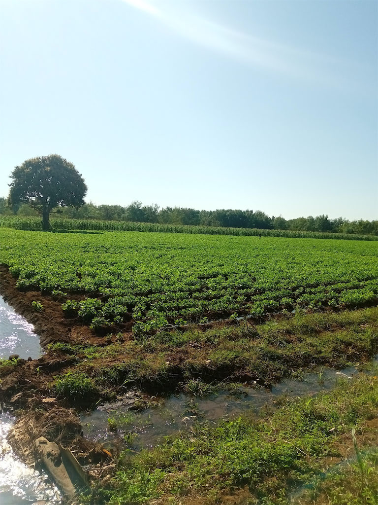 Constatan en Calimete alternativas económicas y sociales para impulsar acuerdos y enfrentar el bloqueo. Foto: tomada del perfil de Facebook de Maria C Puig Martinez