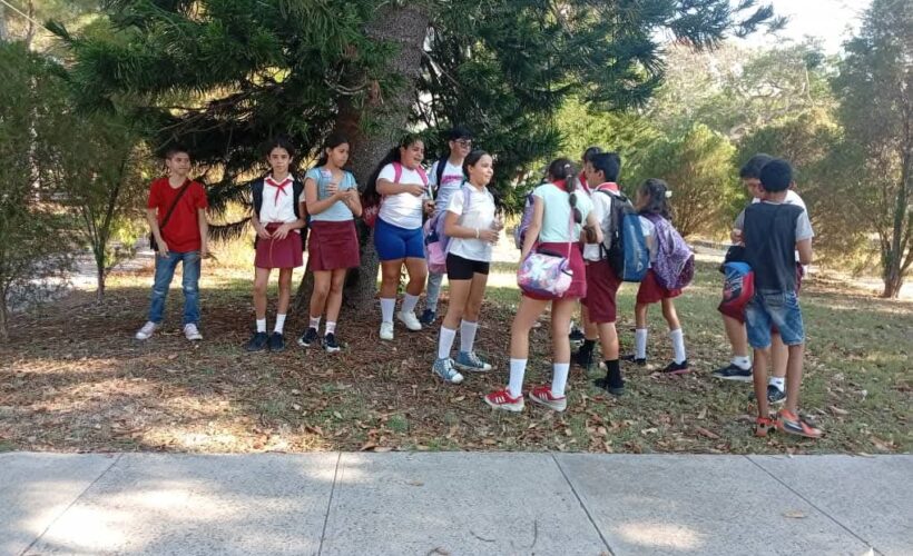 K-Reporters: un proyecto para transformar la mirada sobre la infancia